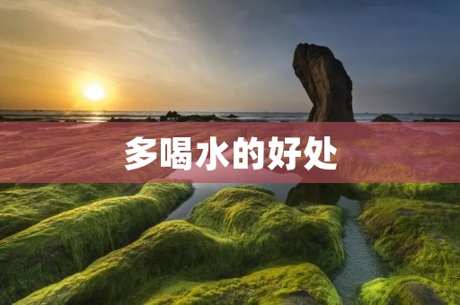 多喝水的好处：让你更健康
