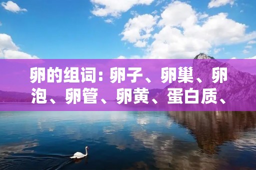 卵的组词: 卵子、卵巢、卵泡、卵管、卵黄、蛋白质、卵细胞、卵巢癌、卵巢囊肿