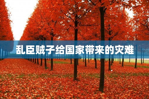 乱臣贼子给国家带来的灾难