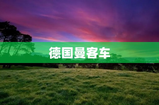 德国曼客车:品质与安全的代名词 德国曼客车:品质与安全的代名词