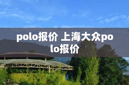polo报价 上海大众polo报价