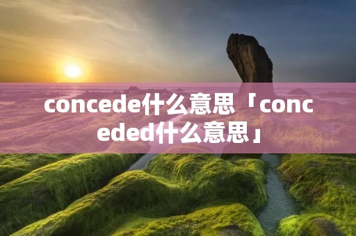 concede什么意思「conceded什么意思」