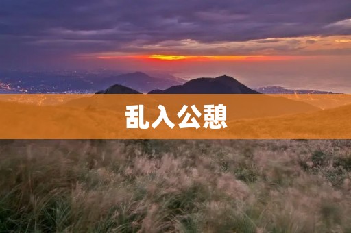 乱入公憩:一场让人无法忘怀的夜晚