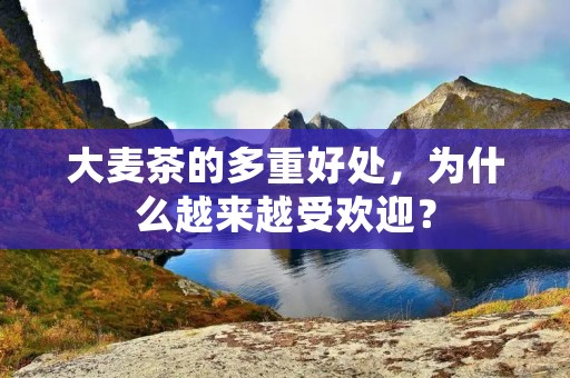 大麦茶的多重好处，为什么越来越受欢迎？