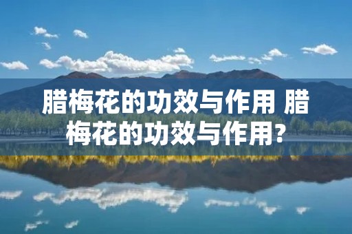 腊梅花的功效与作用 腊梅花的功效与作用?