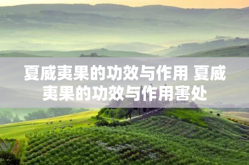 夏威夷果的功效与作用 夏威夷果的功效与作用害处 夏威夷果的功效与作用 夏威夷果的功效与作用害处