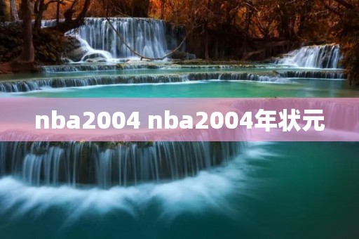 nba2004 nba2004年状元 nba2004 nba2004年状元