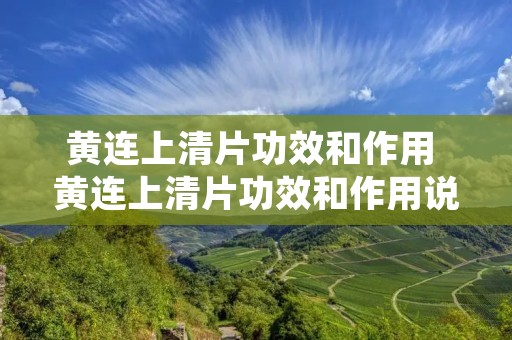 黄连上清片功效和作用 黄连上清片功效和作用说明书 黄连上清片功效和作用 黄连上清片功效和作用说明书