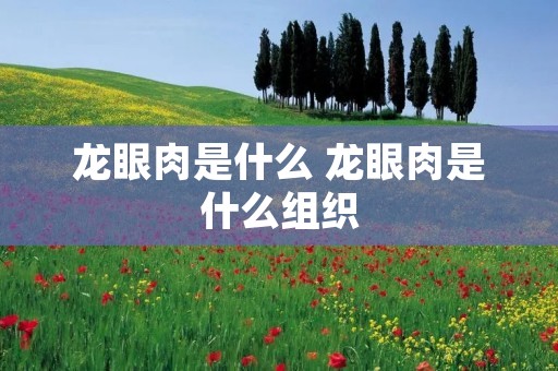 龙眼肉是什么 龙眼肉是什么组织