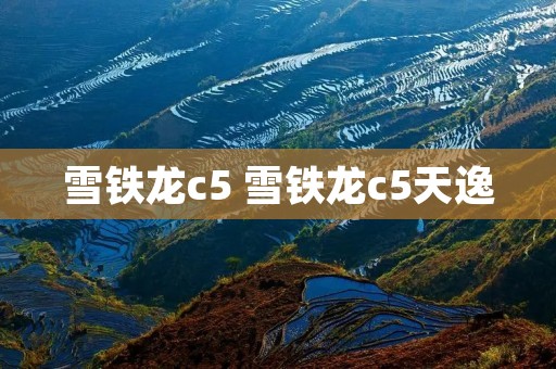 雪铁龙c5 雪铁龙c5天逸 雪铁龙c5 雪铁龙c5天逸