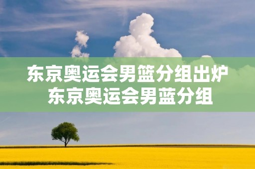 东京奥运会男篮分组出炉 东京奥运会男蓝分组 东京奥运会男篮分组出炉 东京奥运会男蓝分组