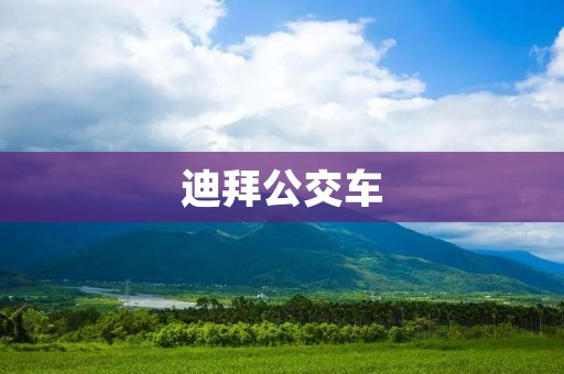 迪拜公交车：舒适、安全、高效的城市出行方式