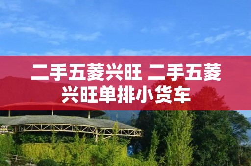 二手五菱兴旺 二手五菱兴旺单排小货车 二手五菱兴旺 二手五菱兴旺单排小货车