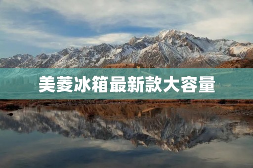 美菱冰箱最新款大容量：高性能，低噪音