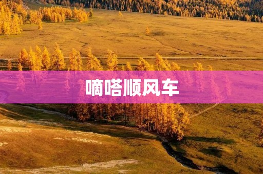 嘀嗒顺风车:打造智慧出行新时代 嘀嗒顺风车:打造智慧出行新时代