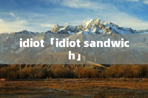 idiot「idiot sandwich」