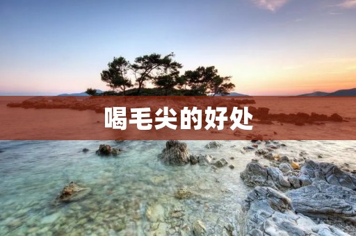 喝毛尖的好处:为身体带来健康与舒适