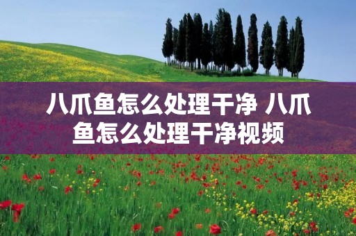 八爪鱼怎么处理干净 八爪鱼怎么处理干净视频 八爪鱼怎么处理干净 八爪鱼怎么处理干净视频