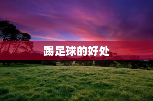 踢足球的好处:让身体更健康,增强团队精神