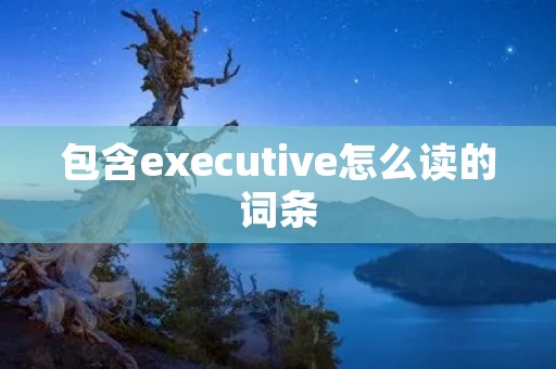 包含executive怎么读的词条