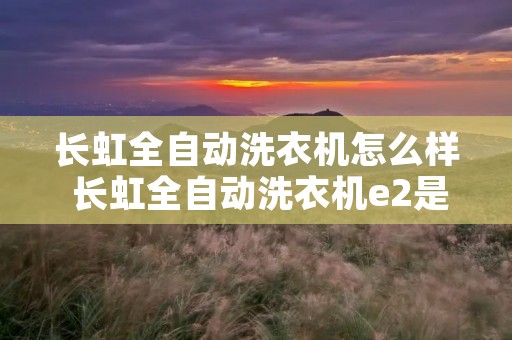 长虹全自动洗衣机怎么样 长虹全自动洗衣机e2是什么问题