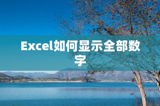 Excel如何显示全部数字
