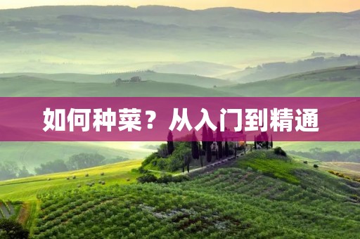 如何种菜?从入门到精通 如何种菜?从入门到精通