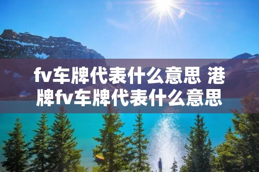 fv车牌代表什么意思 港牌fv车牌代表什么意思 fv车牌代表什么意思 港牌fv车牌代表什么意思