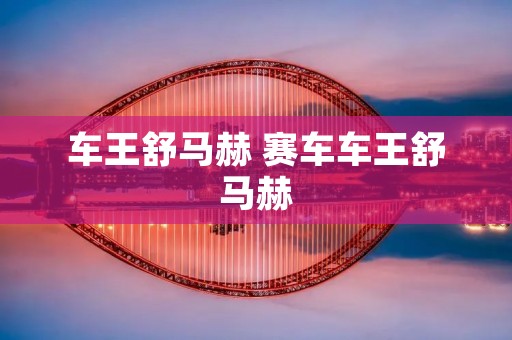 车王舒马赫 赛车车王舒马赫