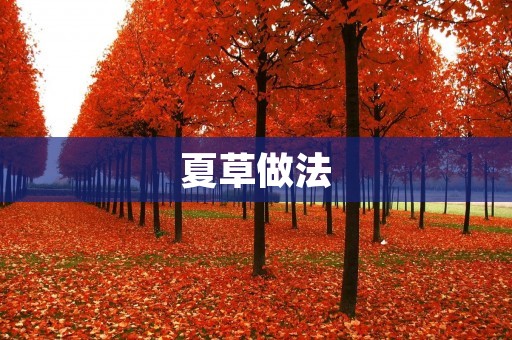 夏草做法：清凉夏日必备的美食