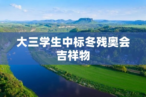 大三学生中标冬残奥会吉祥物 大三学生中标冬残奥会吉祥物