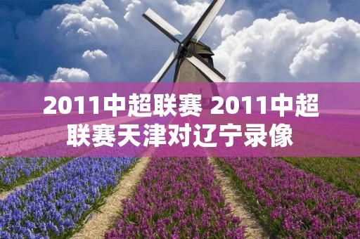 2011中超联赛 2011中超联赛天津对辽宁录像