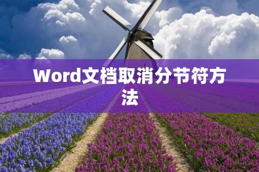 Word文档取消分节符方法