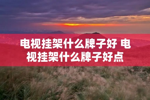 电视挂架什么牌子好 电视挂架什么牌子好点 电视挂架什么牌子好 电视挂架什么牌子好点