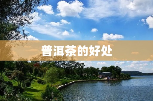 普洱茶的好处：探究普洱茶的神秘功效