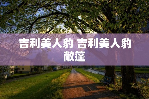 吉利美人豹 吉利美人豹敞篷