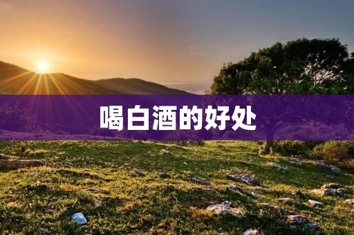 喝白酒的好处：一种健康的生活方式
