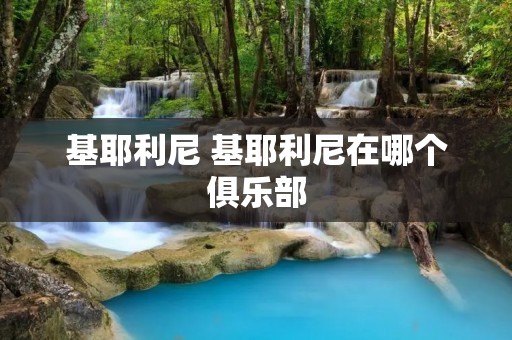 基耶利尼 基耶利尼在哪个俱乐部 基耶利尼 基耶利尼在哪个俱乐部