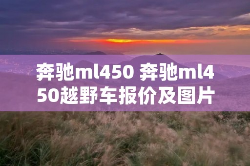 奔驰ml450 奔驰ml450越野车报价及图片 奔驰ml450 奔驰ml450越野车报价及图片