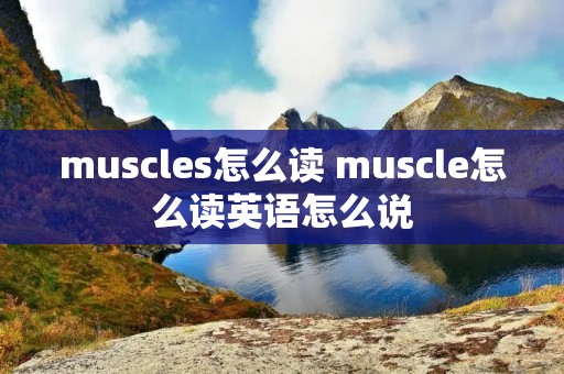 muscles怎么读 muscle怎么读英语怎么说