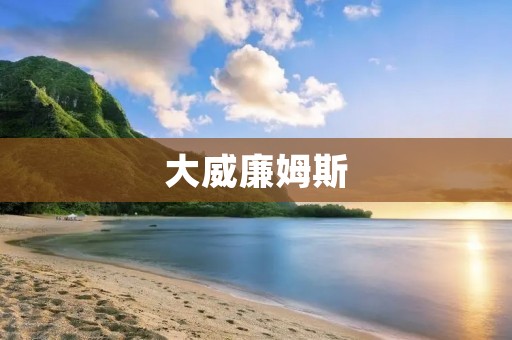 大威廉姆斯：网球界的传奇