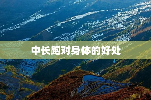 中长跑对身体的好处