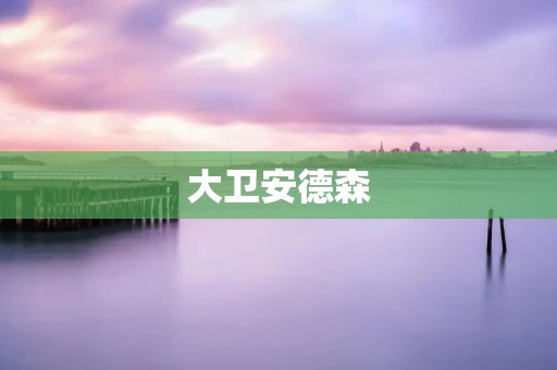 大卫安德森：探索电影艺术的先驱