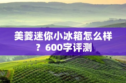 美菱迷你小冰箱怎么样？600字评测