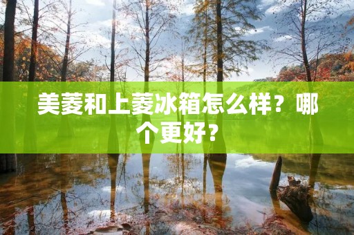 美菱和上菱冰箱怎么样?哪个更好? 美菱和上菱冰箱怎么样?哪个更好?