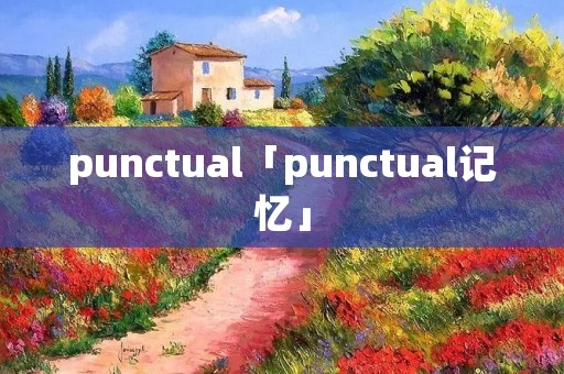 punctual「punctual记忆」