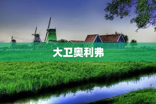 大卫奥利弗:探索厨艺的美食家 大卫奥利弗:探索厨艺的美食家