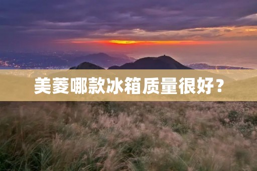 美菱哪款冰箱质量很好？