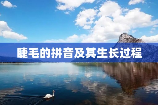 睫毛的拼音及其生长过程
