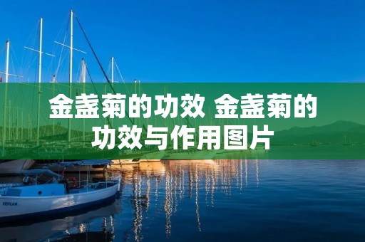 金盏菊的功效 金盏菊的功效与作用图片
